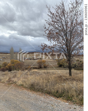 autumn field dry grass bare tree clouds. High quality photo autumn field dry grass bare tree clouds. High quality photo 136609961