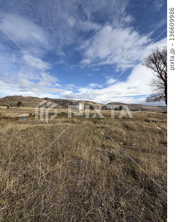 Field person sky. High quality photo Field person sky. High quality photo 136609986