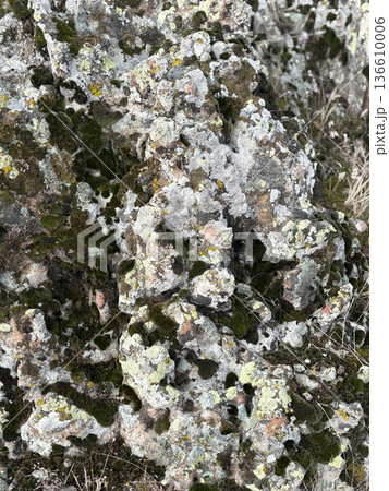 Rocky rugged landscape. High quality photo Rocky rugged landscape. High quality photo 136610006