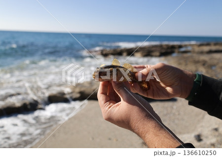 Beach hand fish. High quality photo 136610250