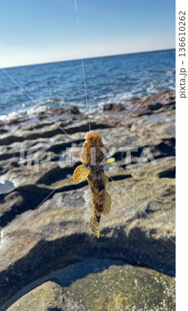 Beach hand fish. High quality photo Beach hand fish. High quality photo 136610262