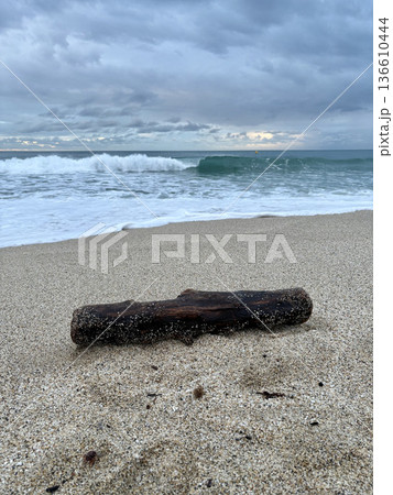 Driftwood sandy beach. High quality photo Driftwood sandy beach. High quality photo 136610444