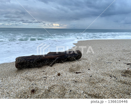 Driftwood sandy beach. High quality photo 136610446