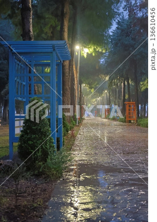 Green bench rain. High quality photo 136610456