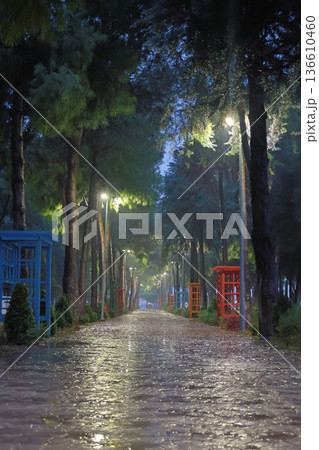 Green bench rain. High quality photo Green bench rain. High quality photo 136610460