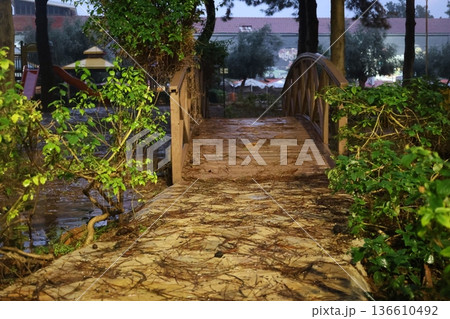 Green bench rain. High quality photo 136610492