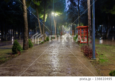 Green bench rain. High quality photo Green bench rain. High quality photo 136610495