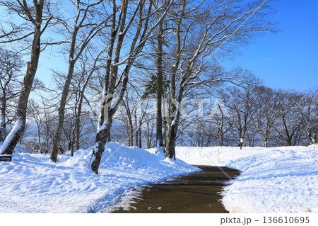 支笏湖畔雪景色 支笏湖畔雪景色 136610695