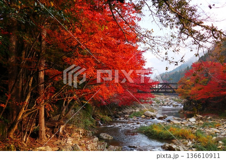 奥津渓谷の紅葉 奥津渓谷の紅葉 136610911