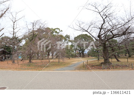 2024年・福岡・福岡市・風景・中央区城内・城・福岡城跡・其の六十一 2024年・福岡・福岡市・風景・中央区城内・城・福岡城跡・其の六十一 136611421