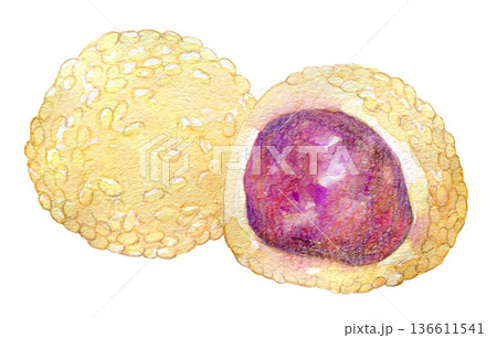 水彩イラスト　中華風おやつ　ごまだんご 136611541