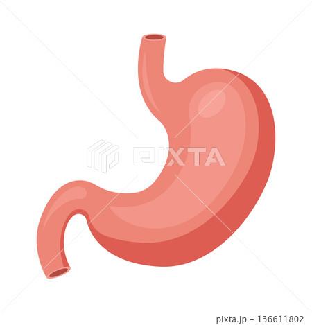 Gerd stomach icon in flat style. Reflux vector illustration on isolated background. Esophageal organ sign business concept. Gerd stomach icon in flat style. Reflux vector illustration on isolated background. Esophageal organ sign business concept. 136611802
