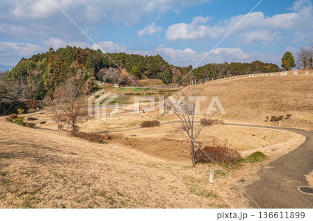 キトラ古墳 奈良県明日香村 キトラ古墳 奈良県明日香村 136611899