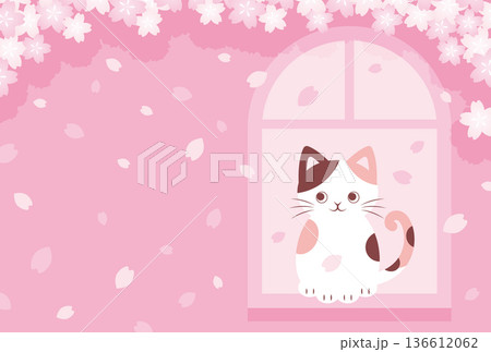 窓際で舞う桜の花を眺める猫の背景イラスト 窓際で舞う桜の花を眺める猫の背景イラスト 136612062