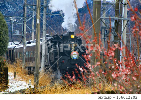 梅花と春の雪…【SL大樹】C11325 136612202