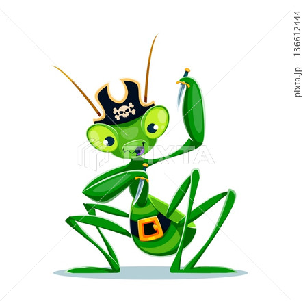 Cartoon green mantis pirate vector character with long legs and expressive eyes. Vector warrior insect dresses with tricorn black hat and holds sharp daggers. Mascot or tattoo corsair mantis character Cartoon green mantis pirate vector character with long legs and expressive eyes. Vector warrior insect dresses with tricorn black hat and holds sharp daggers. Mascot or tattoo corsair mantis character 136612444