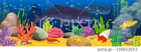 Cartoon sperm whale and coral reefs. Vector underwater landscape with happy marine life with giant friendly whale swimming among coral reefs. Shoal of tropical fish, red crab, shrimp, and seaweed Cartoon sperm whale and coral reefs. Vector underwater landscape with happy marine life with giant friendly whale swimming among coral reefs. Shoal of tropical fish, red crab, shrimp, and seaweed 136612651