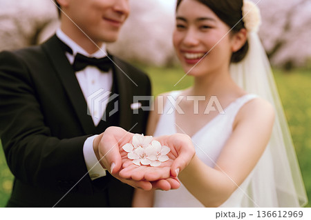 晴れの日のカップル 晴れの日のカップル 136612969