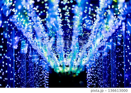 【愛知県飛島村】とびしま宵あかり　風鈴とイルミネーションの絶景 136613000