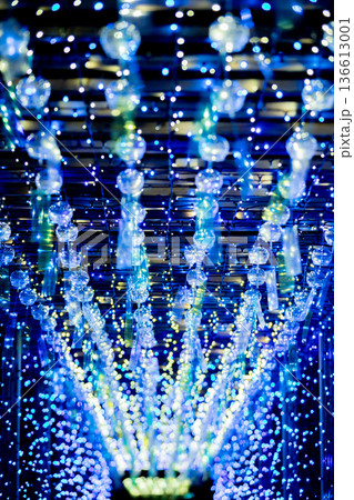 【愛知県飛島村】とびしま宵あかり　風鈴とイルミネーションの絶景 136613001