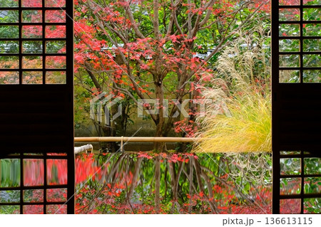 京都の興臨院の紅葉 136613115