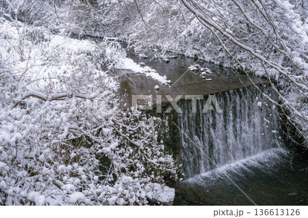 雪の日の幻想的な貴船川 雪の日の幻想的な貴船川 136613126