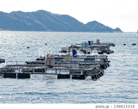南予風景 宇和海の養殖いかだ 南予風景 宇和海の養殖いかだ 136613319