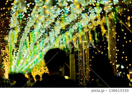 【愛知県飛島村】とびしま宵あかり　風鈴とイルミネーションの絶景を眺める女性 136613330