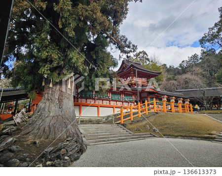 春日大社　奈良県　奈良市　春日野町 136613373