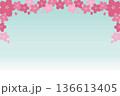 桜のフレーム 花見 春 イラスト ベクター 136613405