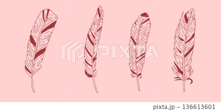 Hand-drawn cowgirl feather illustration with line art. Vintage coquette sketch design featuring detailed plume in black ink, perfect for tattoo or decorative project. Vector doodle feather isolated Hand-drawn cowgirl feather illustration with line art. Vintage coquette sketch design featuring detailed plume in black ink, perfect for tattoo or decorative project. Vector doodle feather isolated 136613601