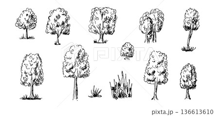 Hand-drawn tree sketches in black ink outline style. Simple doodle forest illustrations with bushes and grass. Isolated vector collection for nature design. Doodle trees isolated on transparent bg 136613610