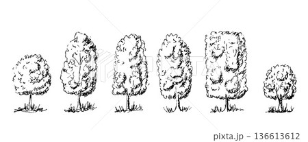 Forest collection with oak, pine, and maple silhouettes. Hand-drawn nature illustrations in doodle. Isolated black vector set with bushes and grass element 136613612
