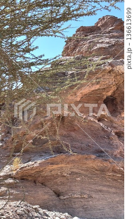 Sunlit Sandstone With Sparse Vegetation. Eroded Sandstone Formation Under Clear Blue Sky. Rugged Terrain Features Sandstone Outcrop With Acacia Trees And Visible Erosion Patterns 136613699