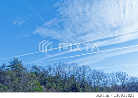 早春の空 雲の競演 136613825