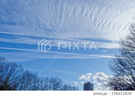 早春の空 雲の競演 136613826