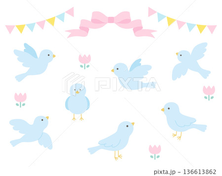 かわいい小鳥のベクターイラストセット かわいい小鳥のベクターイラストセット 136613862
