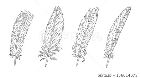 Feathers sketch scribbles set. Elegant quill illustration with detailed ink artwork. Vintage-inspired sketch featuring decorative plume design, perfect for tattoo art and creative graphic project Feathers sketch scribbles set. Elegant quill illustration with detailed ink artwork. Vintage-inspired sketch featuring decorative plume design, perfect for tattoo art and creative graphic project 136614075