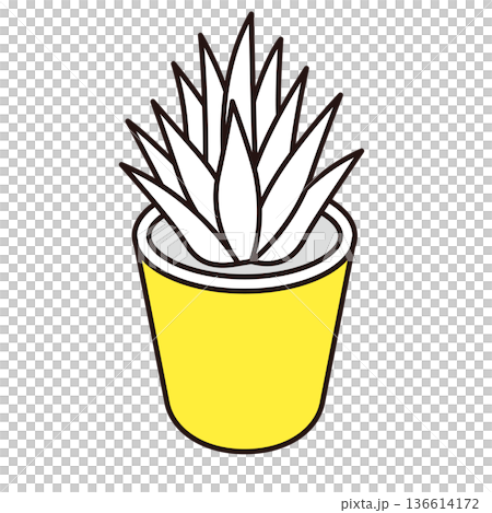 シンプルな観葉植物(丸鉢)のアイソメトリック線画イラスト シンプルな観葉植物(丸鉢)のアイソメトリック線画イラスト 136614172
