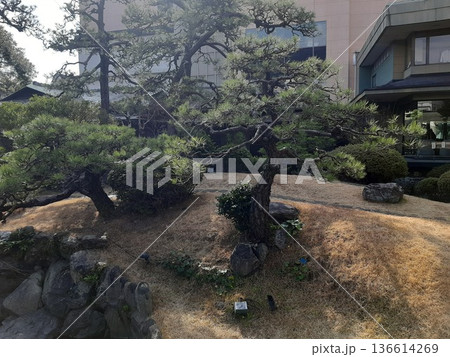 庭園の風景　緑の庭園 136614269