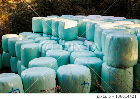 積まれたロールベール 136614421