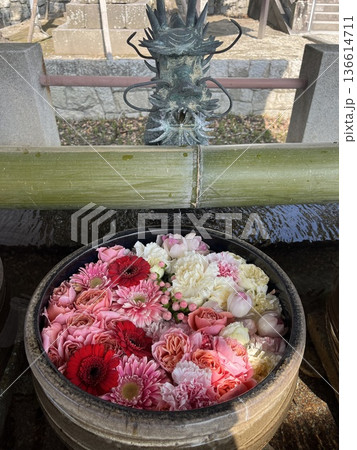 花手水 136614711