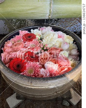 花手水 花手水 136614717