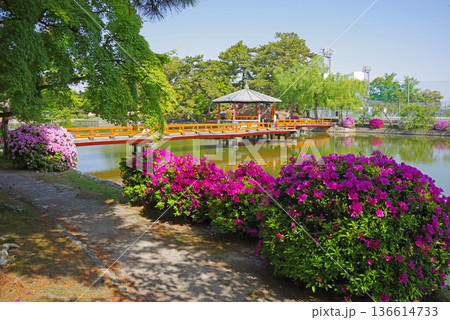 九華公園のつつじ《三重県 桑名市》 136614733