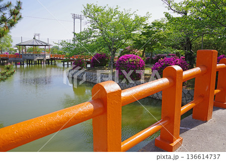 九華公園のつつじ《三重県 桑名市》 136614737