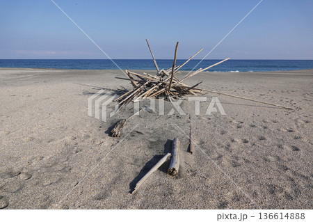 波打ち際の砂浜に集められた流木 136614888