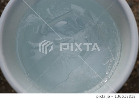 氷 136615818