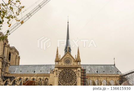 Notre Dame Cathedral in Paris undergoing restoration, showcasing the iconic spire and rose windows against a light sky Notre Dame Cathedral in Paris undergoing restoration, showcasing the iconic spire and rose windows against a light sky 136615930