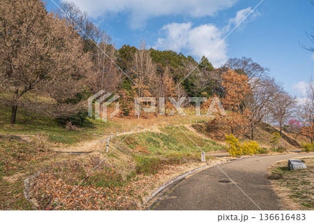 キトラ古墳四神の広場　奈良県明日香村 136616483
