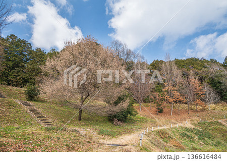 キトラ古墳四神の広場　奈良県明日香村 136616484
